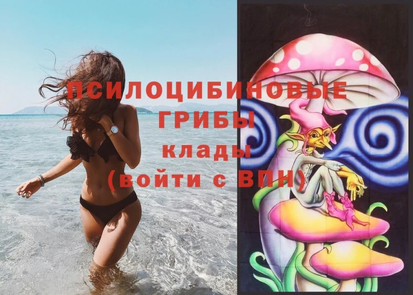 бутират Алзамай