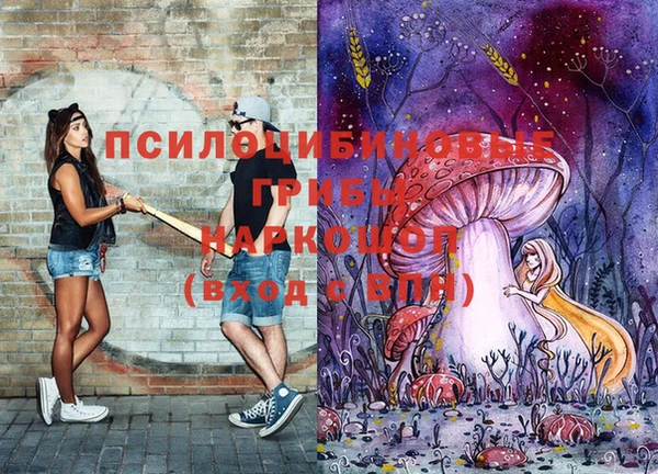 mdpv Алексин